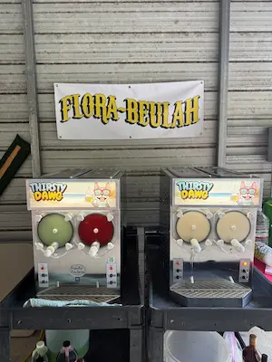 Frozen Favorites at "FLORA-BEULAH"