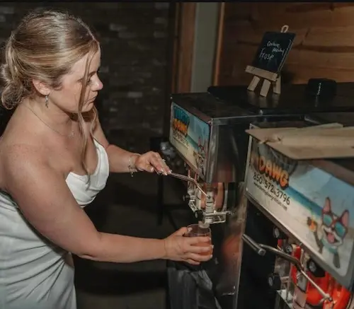 Frozen Memories on the Big Day